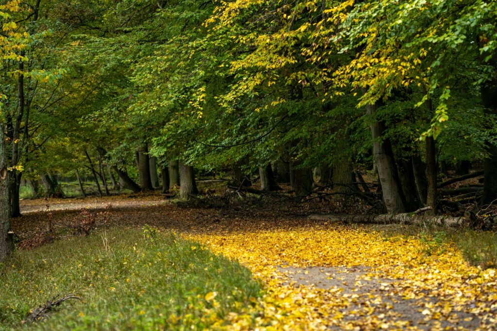 changing seasons affect human health